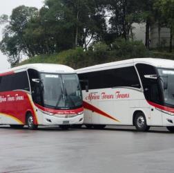 Bus Fleet Bus Fleet