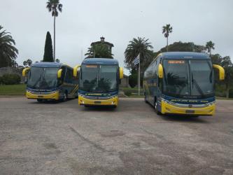 Bus Fleet Bus Fleet