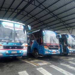 Fleet Fleet