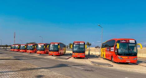 Bus Fleet Bus Fleet