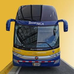 Bus exterior Bus exterior