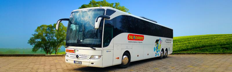Bus Bus