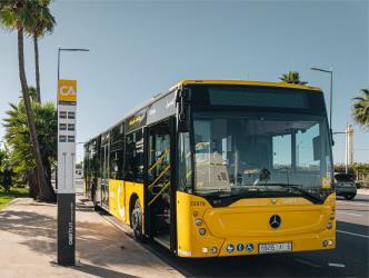 Bus at Stop Bus at Stop