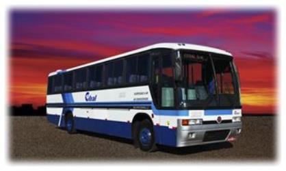 Bus exterior Bus exterior