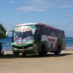 Bus exterior Bus exterior