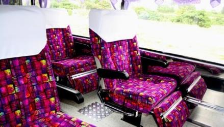 VIP Bus Interior VIP Bus Interior