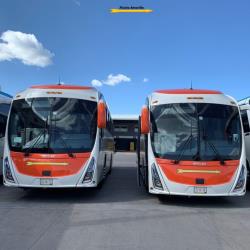 Bus Exterior Bus Exterior