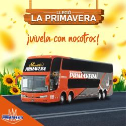 Bus exterior Bus exterior