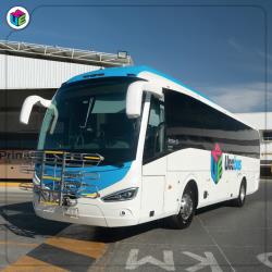 Bus Exterior Bus Exterior