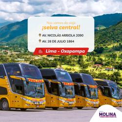 Buses fleet Buses fleet