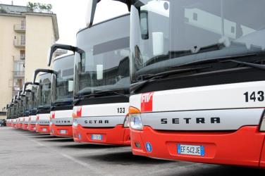 Fleet of buses front view Fleet of buses front view