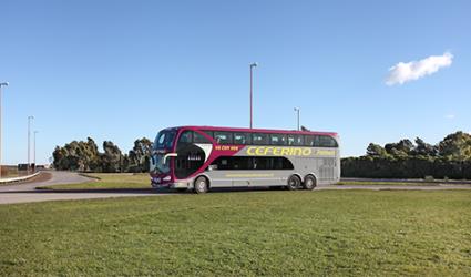 Bus Exterior Bus Exterior
