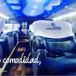 Bus seats Bus seats
