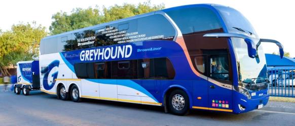 GreyHound GreyHound