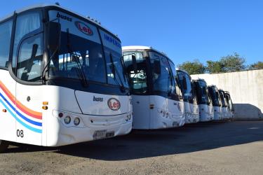 Bus Fleet Bus Fleet