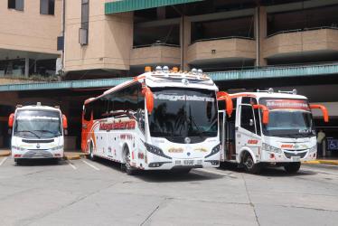 Bus Fleet Bus Fleet