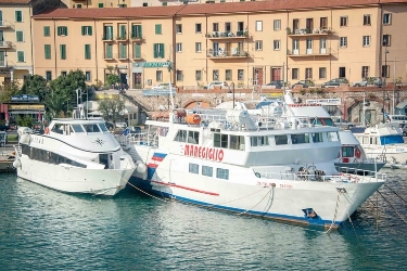 Fleet Fleet