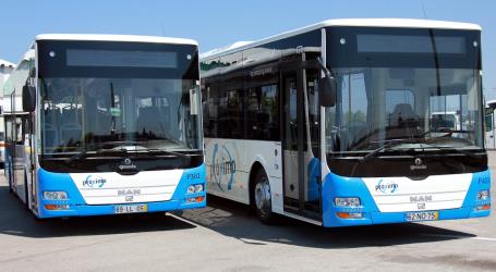Bus Front Bus Front
