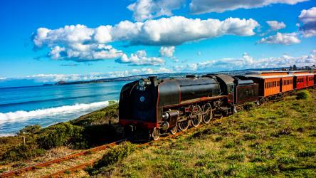 Cockle Train Cockle Train