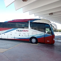 Bus exterior Bus exterior