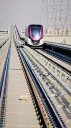 Purple Line Purple Line