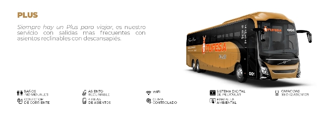 Bus Exterior Bus Exterior