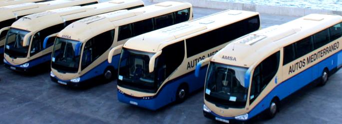 Fleet of buses Fleet of buses