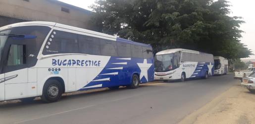 Bus Fleet Bus Fleet