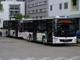 Bus front and side view Bus front and side view