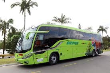 Bus front Bus front