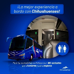 Bus Exterior Bus Exterior