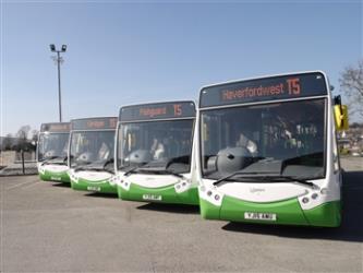 Local buses Local buses