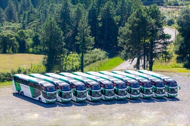 Bus Fleet Bus Fleet