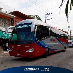Bus exterior Bus exterior