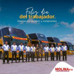 Bus fleet Bus fleet