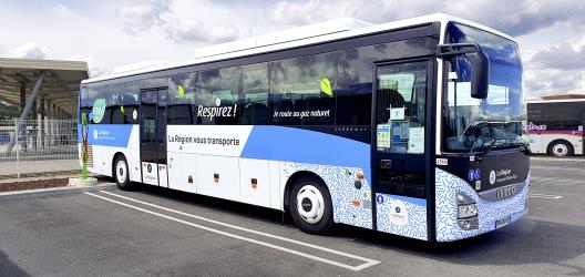 Bus exterior Bus exterior