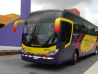 Bus exterior Bus exterior