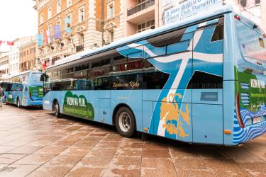 City Bus City Bus