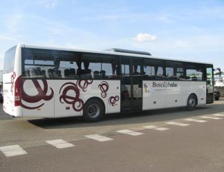 Buscephale Bus Buscephale Bus