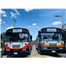 Marco’s Southern Transport logo