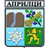 Municipality of Republic Transportation logo