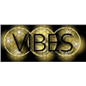 Vibes Travel & Tours LLC