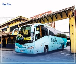 Bus Exterior