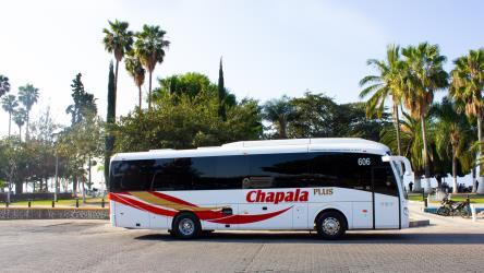 Bus Exterior