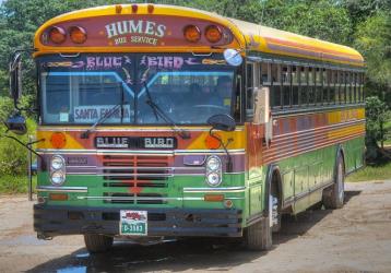 Bus Exterior
