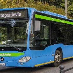 Bus exterior