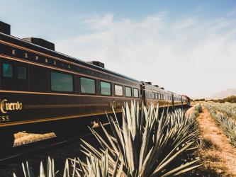 Train Exterior