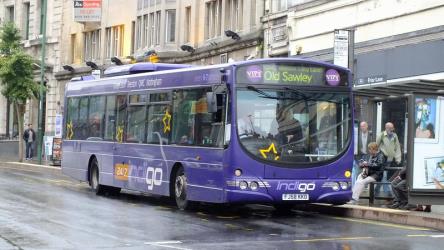 Indigo route bus