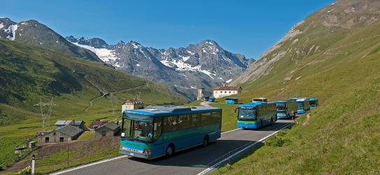 Fleet of buses