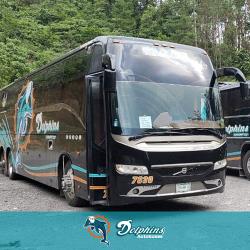 Bus exterior